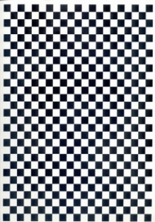 TRANSFERPAPIER geruit zwart 1 vel